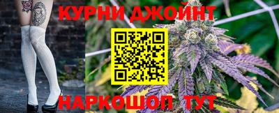 гидра Будённовск
