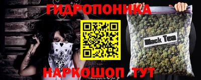 гидра Будённовск